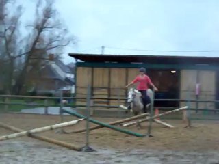 Cour obstacle 03-12-11 PCE