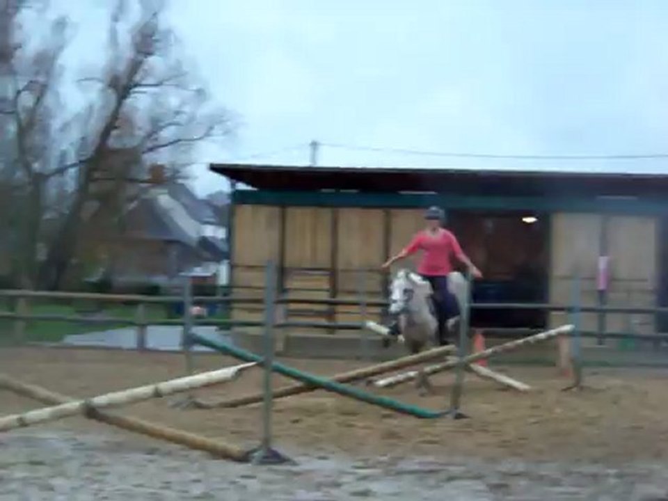 Cour obstacle 03-12-11 PCE