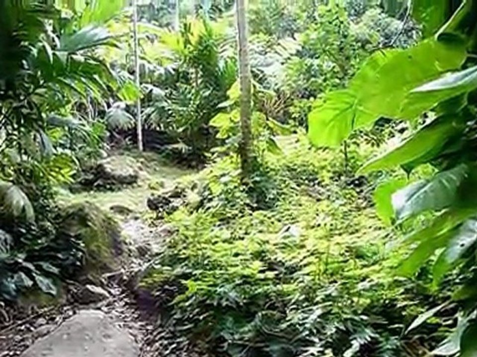 Jamaica: Out of many - One People