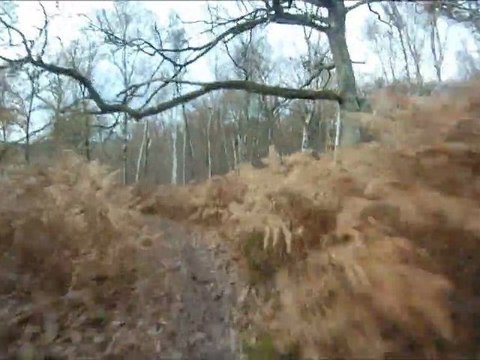 vtt fin novembre 2011