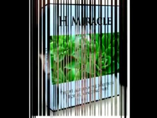 Milagro para el hemorroides