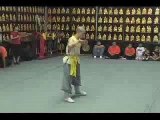 Kung Fu - Shaolin - Praying Mantis