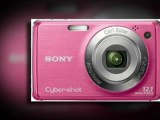 Top Deal Review - Sony Cybershot DSC-W220 12MP Digital ...