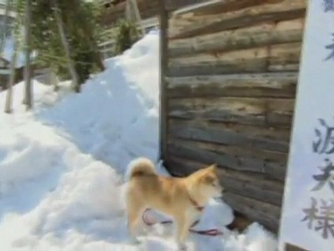 [3-3] 20TH C€NTURY B¤Y$ - CH@P!TR€ 2