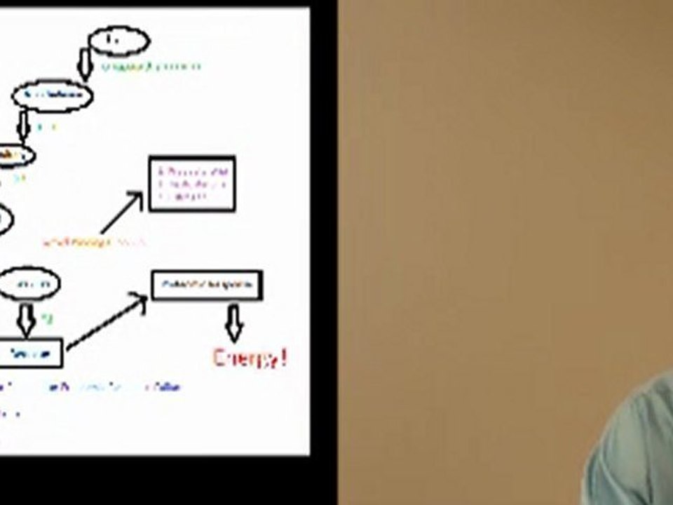 Thyroid Problems - Kyle Warren, DC