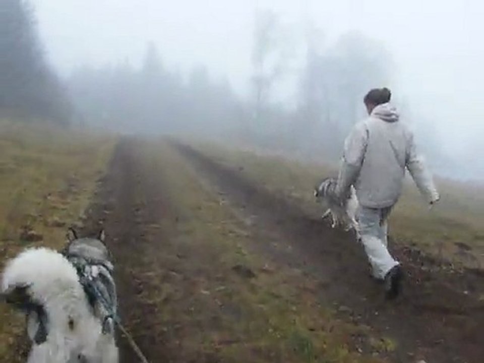 cani rando lag 1