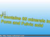 Shilajit - Fulvic Acid The Life Extension Elixir