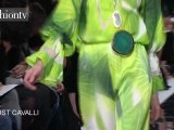 Stella McCartney Show Winter 2012 Paris Fashion Week | FTV