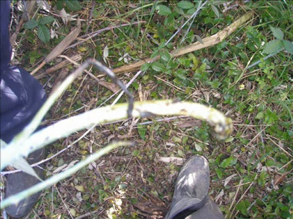 NORMAL SUPERIOR DE PASCA FOTOS PROYECTOS 2 EDITADO POR ORLANDO BELTRAN