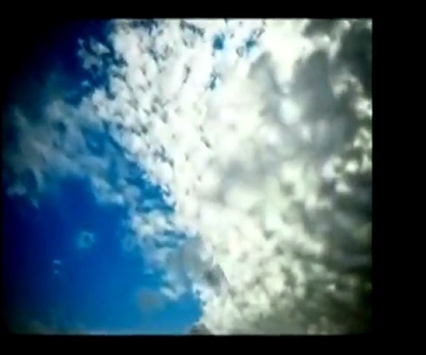 Anime morte - Don jess & ThePMS