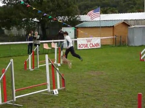 Alf - GPF Le Pradet 03.12.11