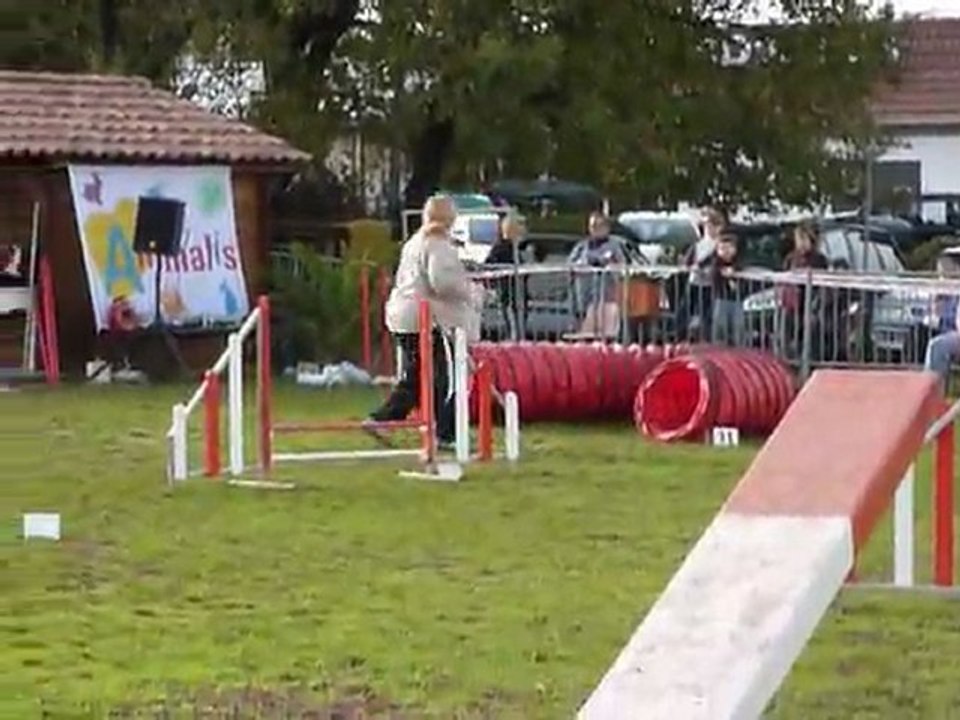 Bambou - 2e degre Le Pradet 03.12.11