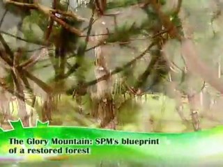 SPM's blueprint of a restored forest