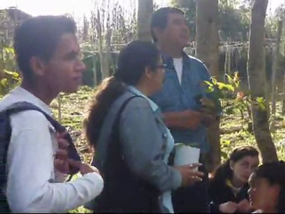 NORMAL SUPERIOR DE PASCA PROYECTO 1. ONDAS LULO NOV. EDITADO POR ORLANDO BELTRAN