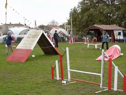 Carsene - GPF Le Pradet 03.12.11