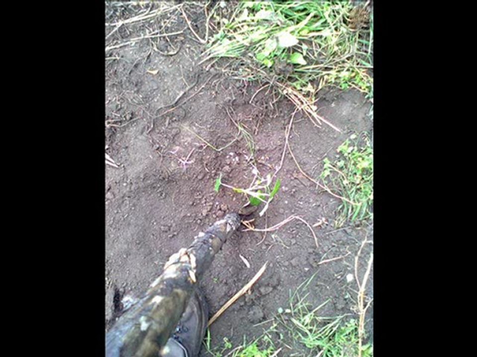 NORMAL SUPERIOR DE PASCA PROYECTO ONDAS PAPAYUELA NOVIEMBRE 26 DE 2011.EDITADO POR ORLANDO BELTRAN