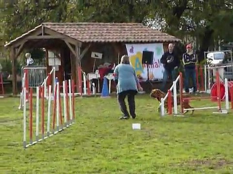 Carsene - 2e degre Le Pradet 03.12.11