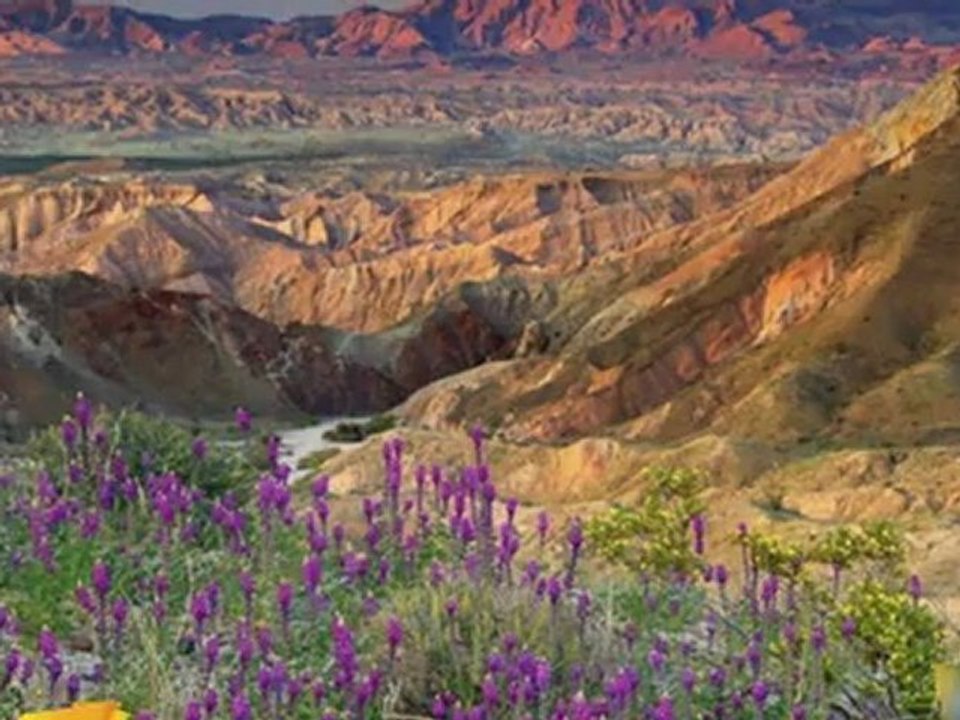 ismail hakkı demircioğlu & erkan oğur - cevizin yaprağı dal arasında