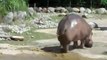 [FUNNY] Pet d'Hippopotame [Goodspeed]