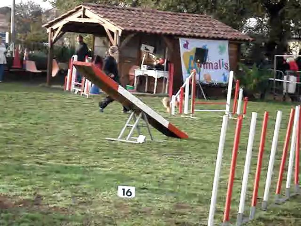MOV00021