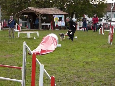 Brownie - GPF Le Pradet 03.12.11