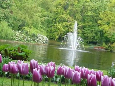 urfasevdam - Sedat Uçan - Ya Resul Allah