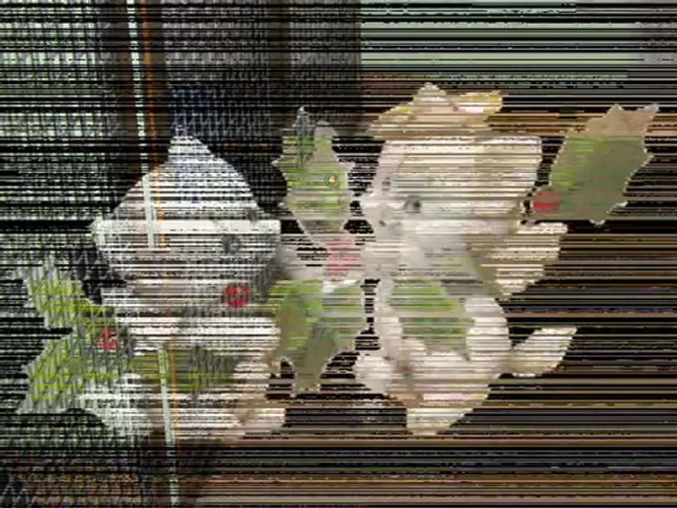 voeux 2012_0001