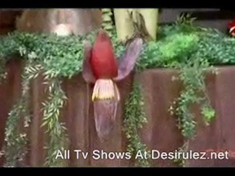 Mastercheff India 4th Dec 11 Pt1