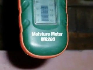 King of the House: Whatcom County Home Inspector -- Anobiid Beetles