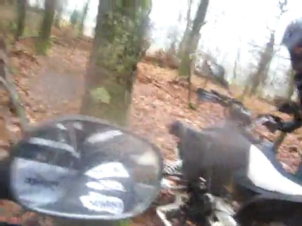 quad goes 520 max 360max 350s