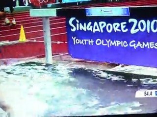 projet intégrateur 2011 Ariane Dubois gr:510