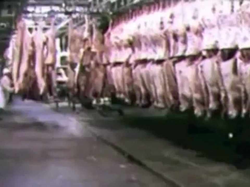 Standing togehter  for love, liberty and properity