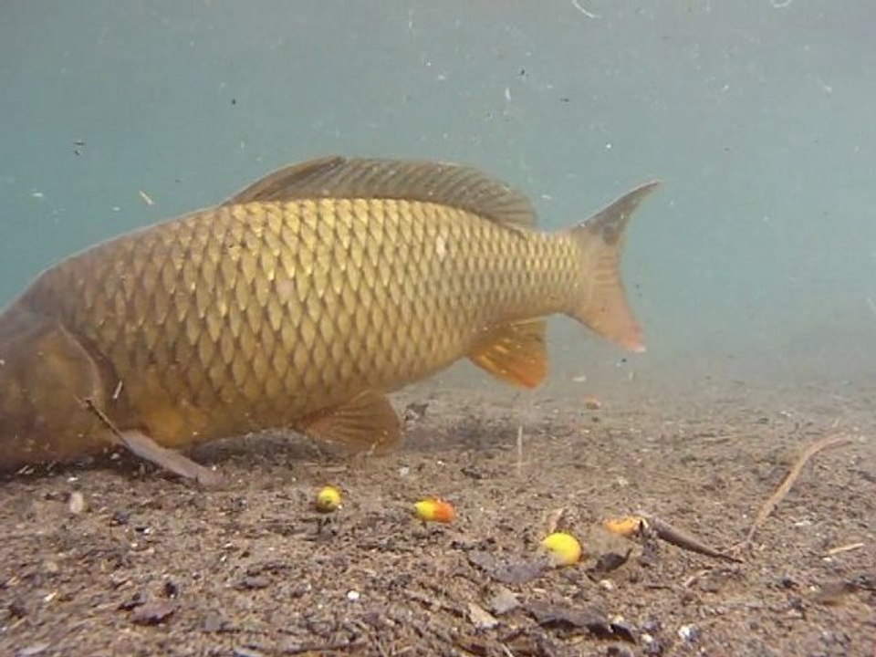 VIDEOCAPTURE Bande Annonce Montlucon 2012