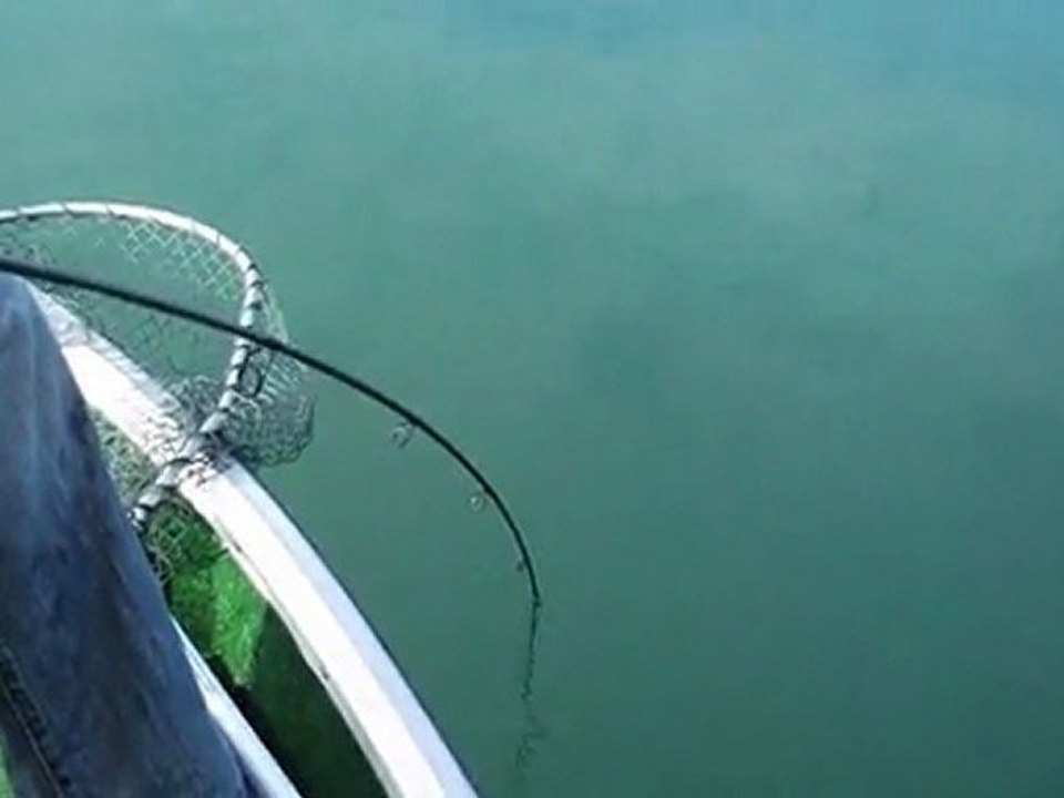 DSCF1033