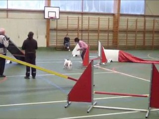 Eclipse Basse-Goulaine