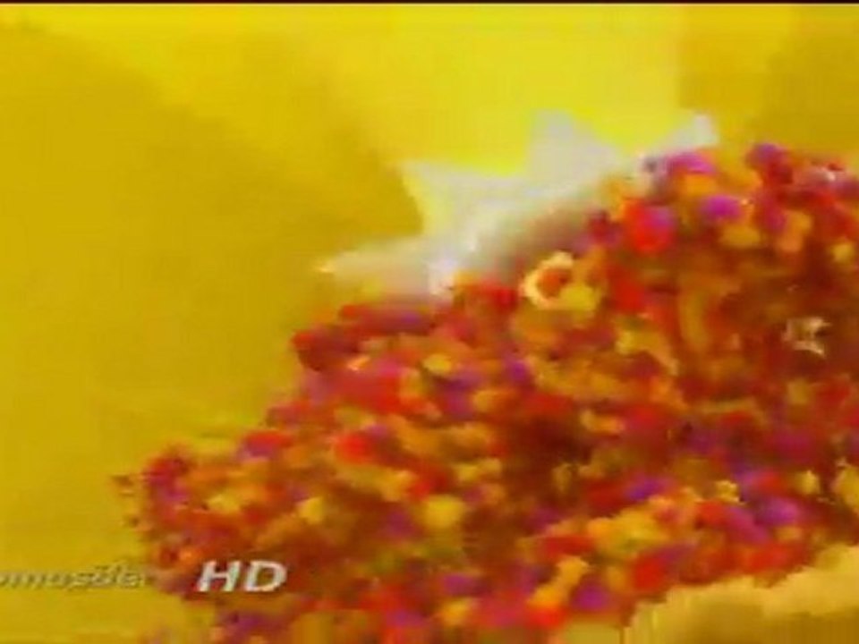 ID de El trece HD - 2011