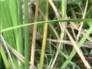 PlanetPhim-KySuMonNgonQueNha_02