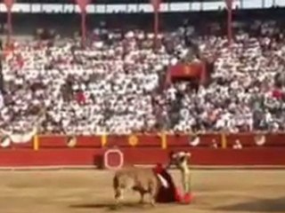 TALAVANTE ACHO SEGUNDO