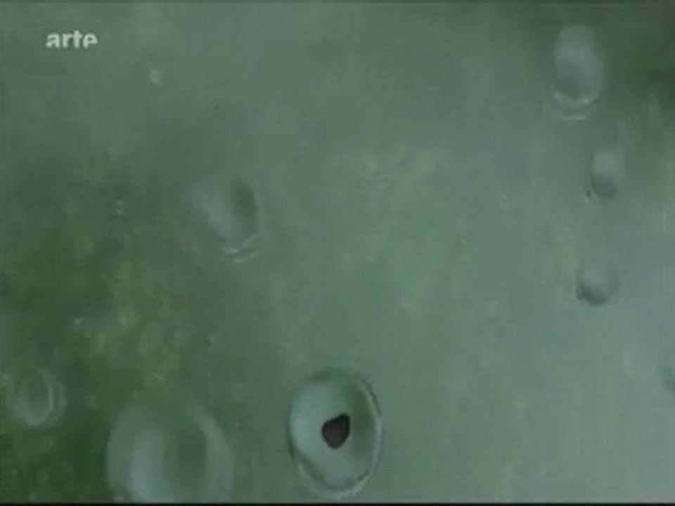 En savoir plus sur les nuages