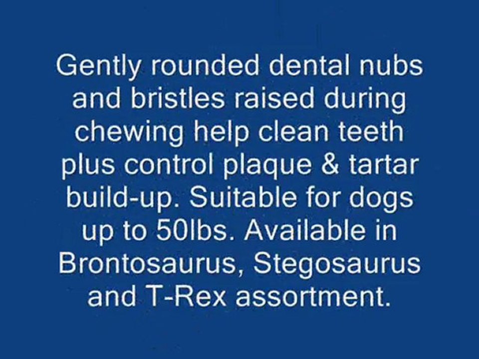Nylabone Durable Dental Dinosaur Chew Toy (Dinosaur Varies)