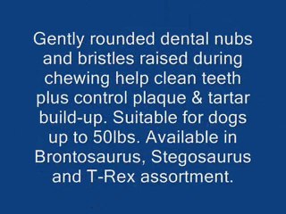 Nylabone Durable Dental Dinosaur Chew Toy (Dinosaur Varies)