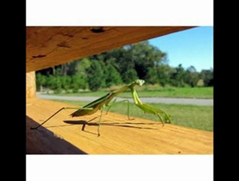 ★★★★★ Big Saving Cyber Monday&Christmas Gift ideas On Canon PowerShot S95 10 MP Digital Camera with 3.8x Wide Angle Optical Image Stabilized Zoom and 3.0-Inch LCD★★★★★