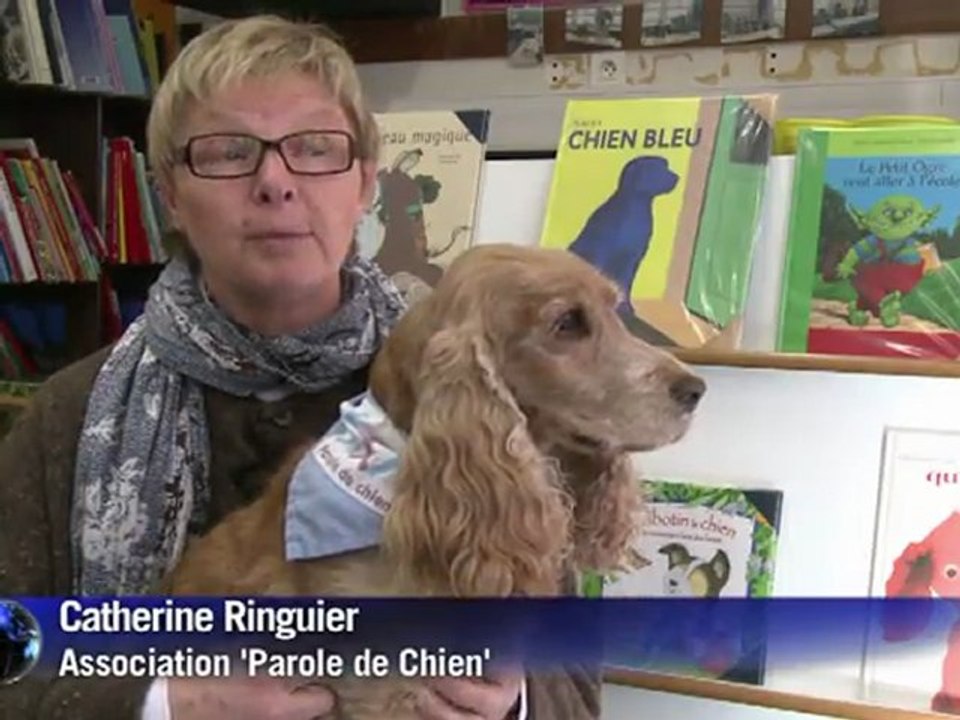 My teacher is a dog