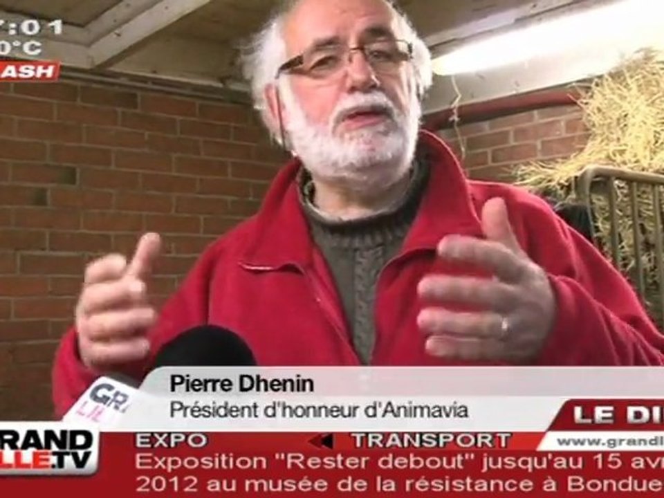 Noël : Saint Nicolas à Ferme pédagogique Marcel Dhénin (Lille)