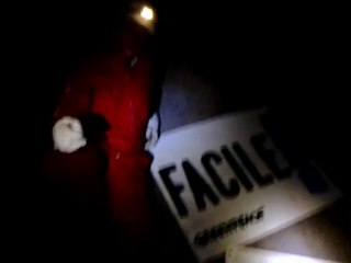 Centrale de Nogent : l'intrusion filmée par Greenpeace