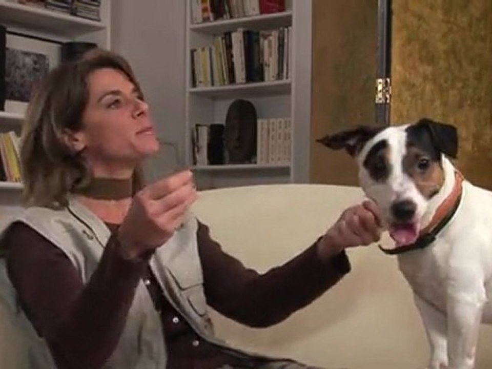 Victoire chez le psy : le maître-chien