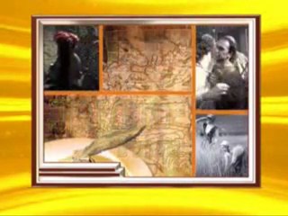 Актуально 02.12.2011