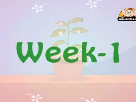 Learn about Plants in Hindi - Photosynthesis Experiment 2