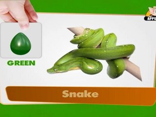 Flashcards for children - Colours