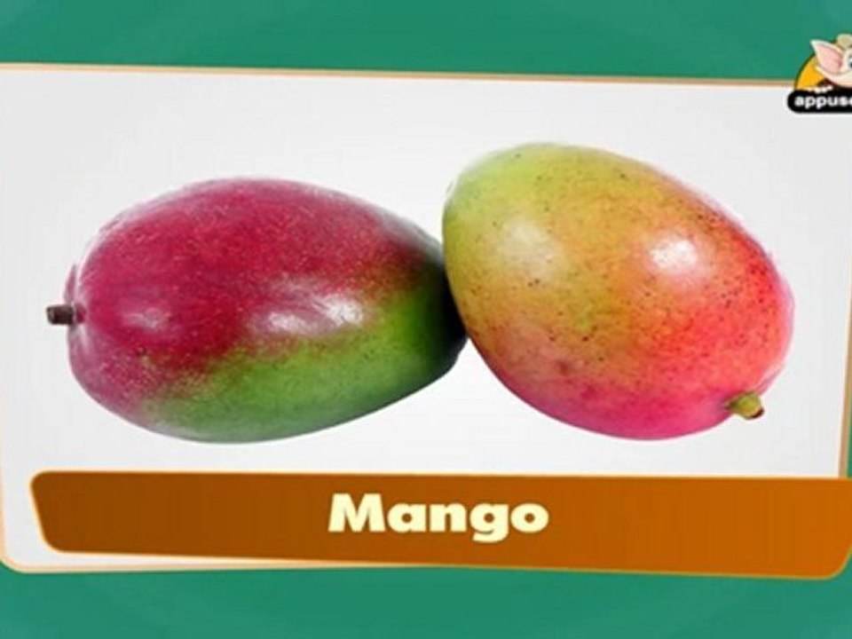 Flap Book - Fruits